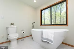 513 Springvale Rd, Great Falls, VA 22066 - Photo 45