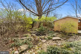 6337 Beryl Rd, Alexandria, VA 22312 - Photo 31