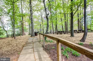 5903 Mt Eagle Dr, Alexandria, VA 22303 - Photo 69