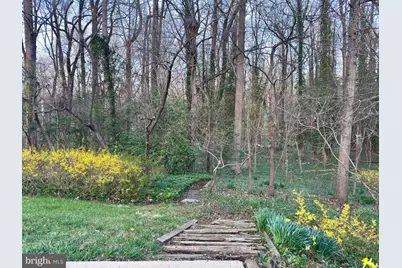 1558 Forest Villa Lane, McLean, VA 22101 - Photo 49