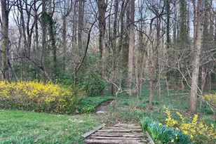 1558 Forest Villa Ln, McLean, VA 22101 - Photo 49