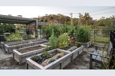 5509 Valmarana Way, Alexandria, VA 22312 - Photo 63