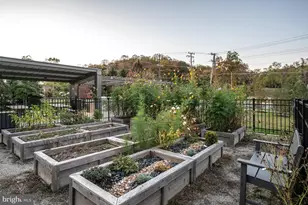 5509 Valmarana Way, Alexandria, VA 22312 - Photo 63