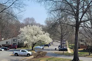 5674 Oak Tanager Ct, Burke, VA 22015 - Photo 39