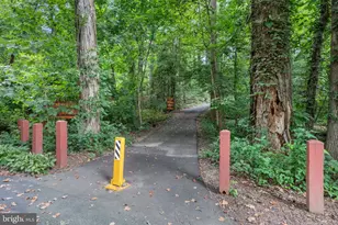 4709 Randolph Ct, Annandale, VA 22003 - Photo 97