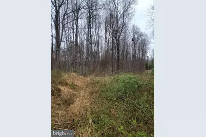 Winfield Dr, Fairfax, VA 22030 - Photo 3