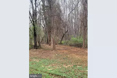 Winfield Dr, Fairfax, VA 22030 - Photo 5