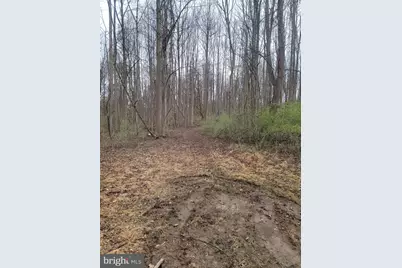 Winfield Dr, Fairfax, VA 22030 - Photo 13