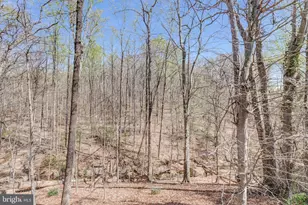 8409 Finlay Ct, Springfield, VA 22153 - Photo 47