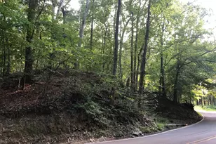 Beach Mill Rd, Great Falls, VA 22066 - Photo 1