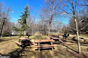 8370 Greensboro Dr, McLean, VA 22102 - Photo 51