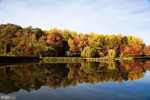 7961 Yancey Dr, Falls Church, VA 22042 - Photo 5