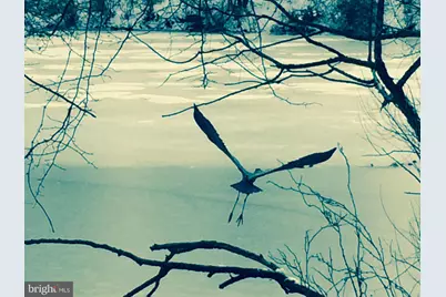 7961 Yancey Drive, Falls Church, VA 22042 - Photo 3