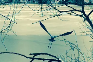 7961 Yancey Dr, Falls Church, VA 22042 - Photo 3