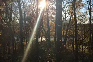 7961 Yancey Dr, Falls Church, VA 22042 - Photo 17