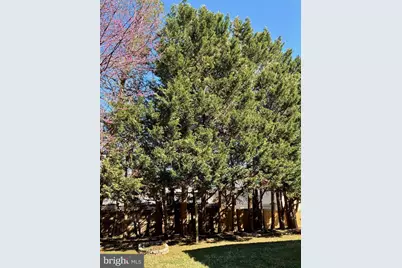 2753 Woodlawn Avenue, Falls Church, VA 22042 - Photo 3