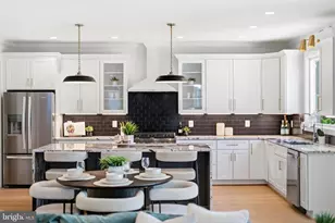 6806 Farragut Ave, Falls Church, VA 22042 - Photo 19