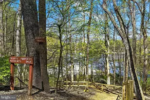 6362 Burton Cir, Falls Church, VA 22041 - Photo 53