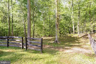 125 Eagles Mere Rd, Great Falls, VA 22066 - Photo 53