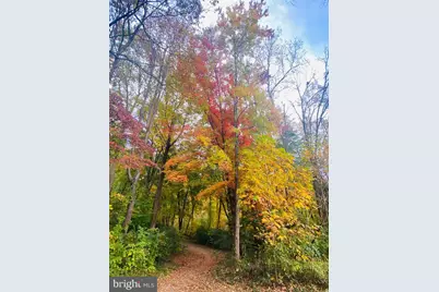 11573 Hemingway Drive, Reston, VA 20194 - Photo 53