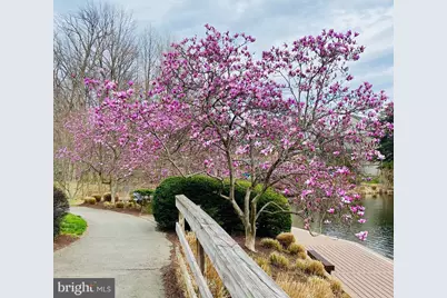 11573 Hemingway Drive, Reston, VA 20194 - Photo 55