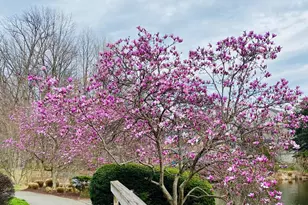 11573 Hemingway Dr, Reston, VA 20194 - Photo 55