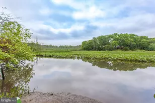 8213 Clifton Farm Ct, Alexandria, VA 22306 - Photo 61