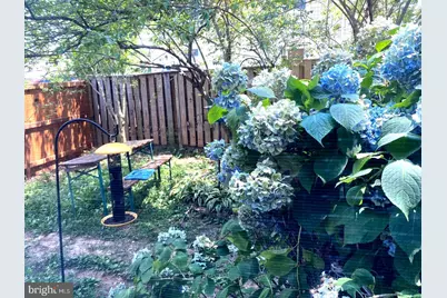 7427 Grace Street, Springfield, VA 22150 - Photo 37