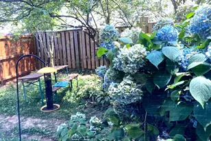 7427 Grace St, Springfield, VA 22150 - Photo 37