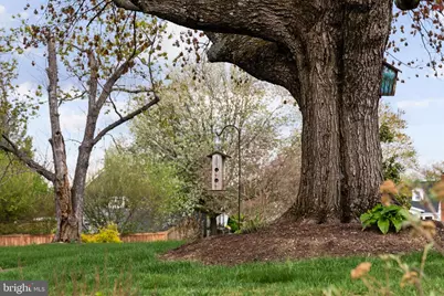 6801 Duke Drive, Alexandria, VA 22307 - Photo 49