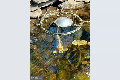 1921 Ware Road, Falls Church, VA 22043 - Photo 11