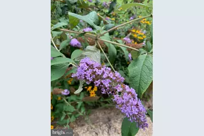 9605 Bronte Drive, Fairfax, VA 22032 - Photo 67