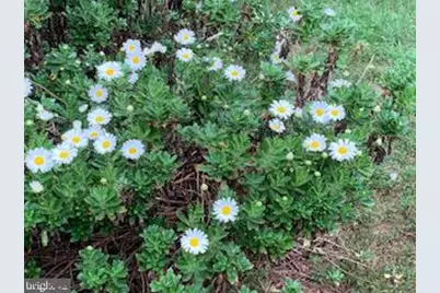 9605 Bronte Drive, Fairfax, VA 22032 - Photo 79