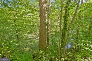 6501 Orono Ct, Springfield, VA 22152 - Photo 41