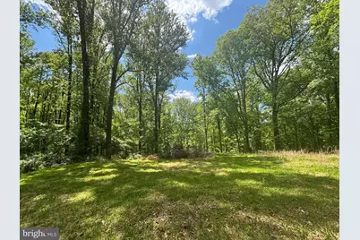 1026 Towlston Road, McLean, VA 22102 - Photo 3