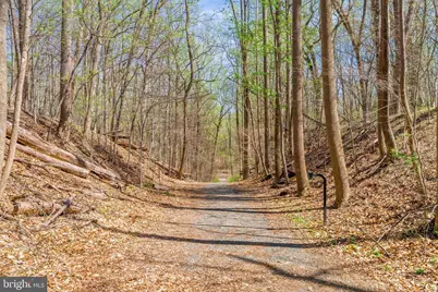 9201 Weant Drive, Great Falls, VA 22066 - Photo 21