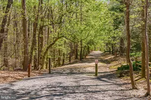 9201 Weant Dr, Great Falls, VA 22066 - Photo 67