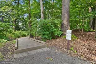 5902 Mt Eagle Dr, Alexandria, VA 22303 - Photo 85