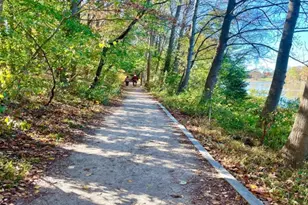 5422 Long Boat Ct, Fairfax, VA 22032 - Photo 87