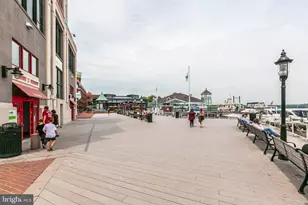 8503 W Boulevard Dr, Alexandria, VA 22308 - Photo 79