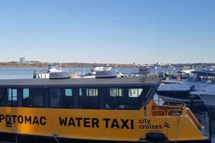 8503 W Boulevard Dr, Alexandria, VA 22308 - Photo 75