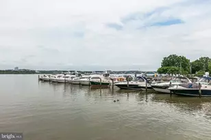 8503 W Boulevard Dr, Alexandria, VA 22308 - Photo 89