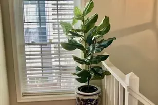 10087 Oakton Terrace Rd, Oakton, VA 22124 - Photo 7