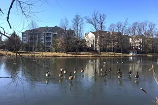 1705 Lake Shore Crest Dr, Reston, VA 20190 - Photo 3