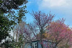 3141 Annandale Rd, Falls Church, VA 22042 - Photo 3