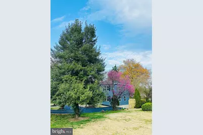 3141 Annandale Road, Falls Church, VA 22042 - Photo 37