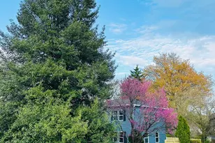 3141 Annandale Rd, Falls Church, VA 22042 - Photo 37