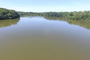 8503 Forrester Blvd, Springfield, VA 22152 - Photo 55