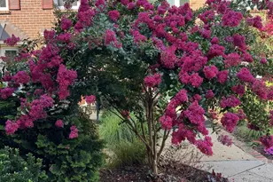 3005 Meeting St, Falls Church, VA 22044 - Photo 29