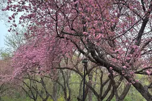 1968 Hopewood Dr, Falls Church, VA 22043 - Photo 37